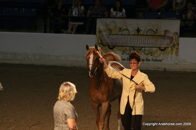 2009 Egyptian Event - Monday