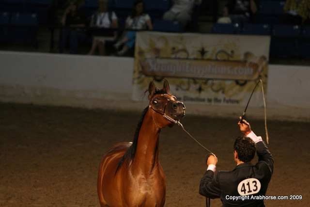 2009 Egyptian Event - Monday