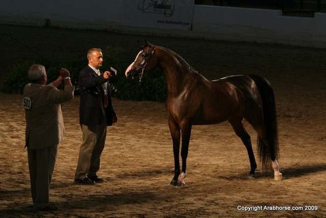 2009 Egyptian Event - Monday