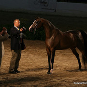 2009 Egyptian Event - Monday