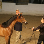 2009 Egyptian Event - Monday