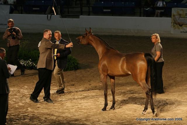 2009 Egyptian Event - Monday