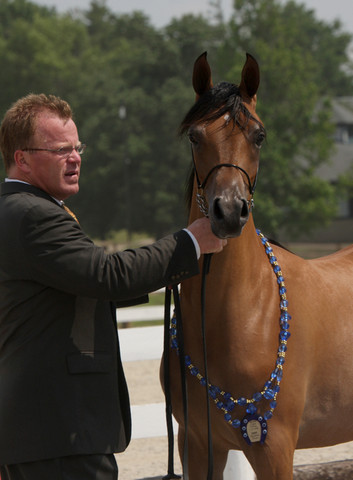 2009 Egyptian Event - Tuesday