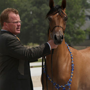 2009 Egyptian Event - Tuesday