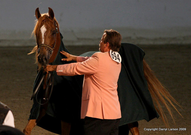 2009 Egyptian Event - Tuesday