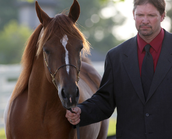 2009 Egyptian Event - Tuesday