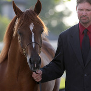 2009 Egyptian Event - Tuesday