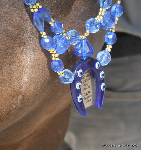 2009 Egyptian Event - Tuesday