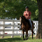 2009 Egyptian Event - Tuesday