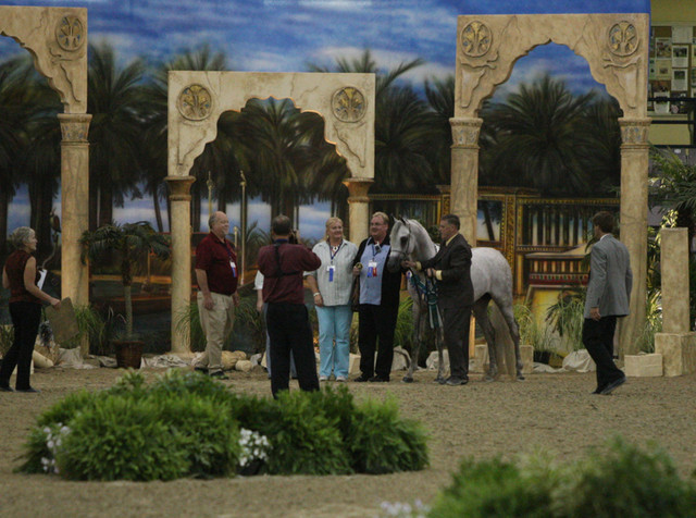 2009 Egyptian Event - Tuesday