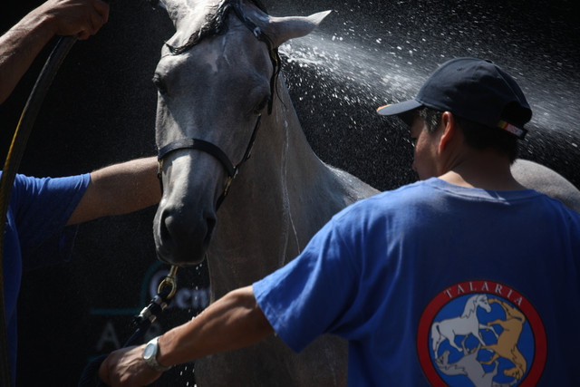 2009 Egyptian Event - Tuesday