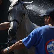 2009 Egyptian Event - Tuesday