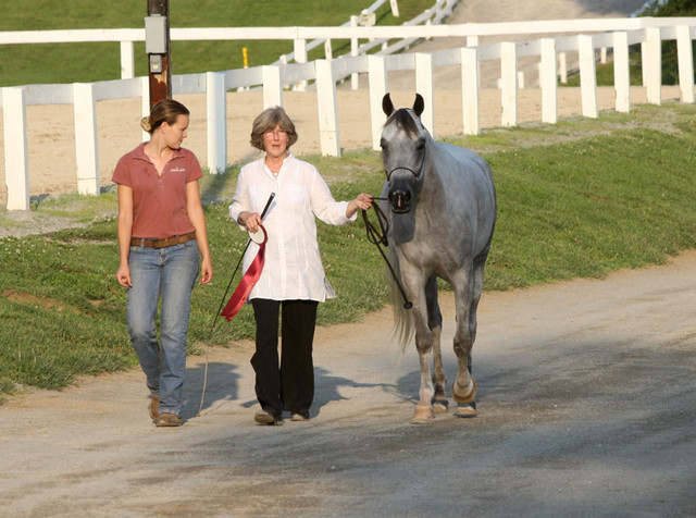 2009 Egyptian Event - Tuesday