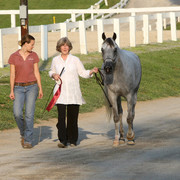 2009 Egyptian Event - Tuesday