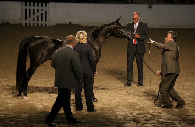 2009 Egyptian Event - Tuesday