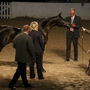 2009 Egyptian Event - Tuesday