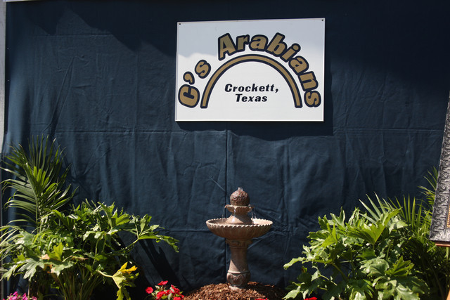 2009 Egyptian Event - Tuesday