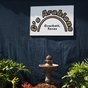 2009 Egyptian Event - Tuesday