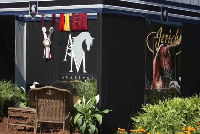 2009 Egyptian Event - Tuesday