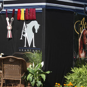 2009 Egyptian Event - Tuesday