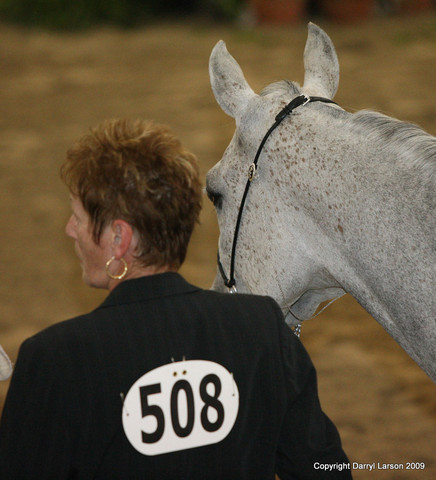 2009 Egyptian Event - Tuesday