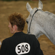 2009 Egyptian Event - Tuesday