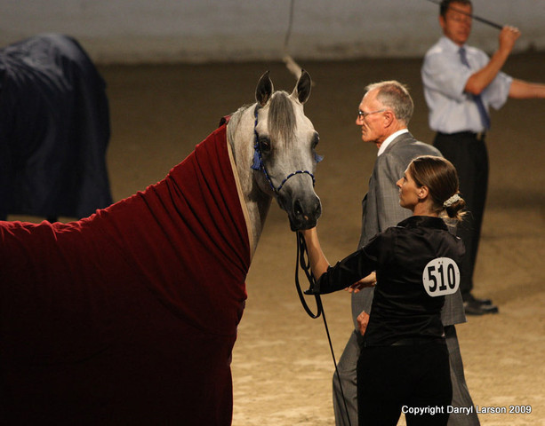 2009 Egyptian Event - Tuesday