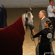 2009 Egyptian Event - Tuesday