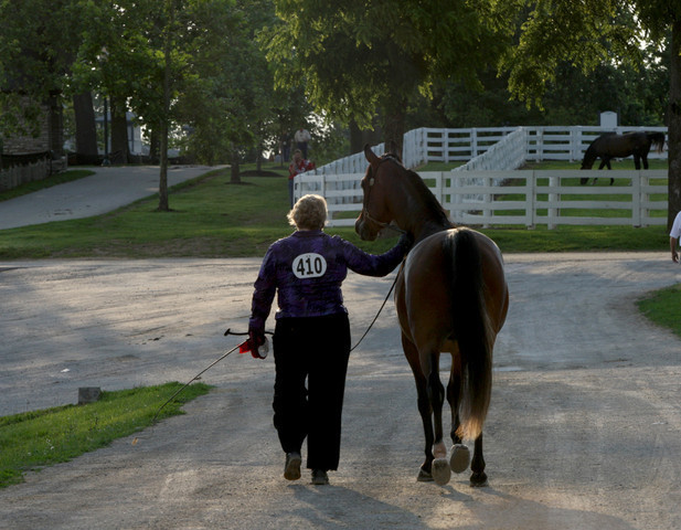 2009 Egyptian Event - Tuesday