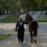 2009 Egyptian Event - Tuesday