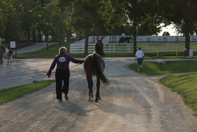 2009 Egyptian Event - Tuesday