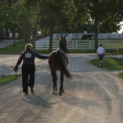2009 Egyptian Event - Tuesday