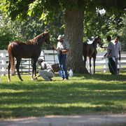 2009 Egyptian Event - Tuesday