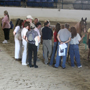 2009 Egyptian Event - Tuesday