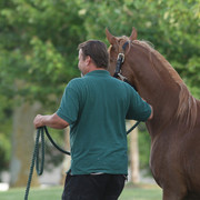 2009 Egyptian Event - Tuesday