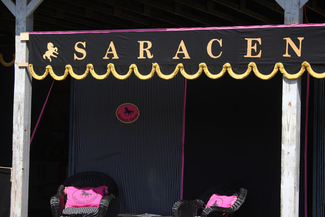 2009 Egyptian Event - Tuesday