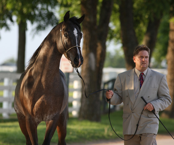 2009 Egyptian Event - Tuesday