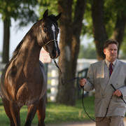 2009 Egyptian Event - Tuesday