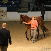 2009 Egyptian Event - Tuesday