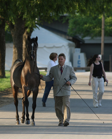 2009 Egyptian Event - Tuesday