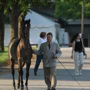 2009 Egyptian Event - Tuesday