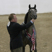 2009 Egyptian Event - Tuesday