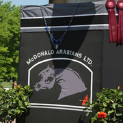 2009 Egyptian Event - Tuesday