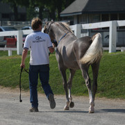 2009 Egyptian Event - Tuesday