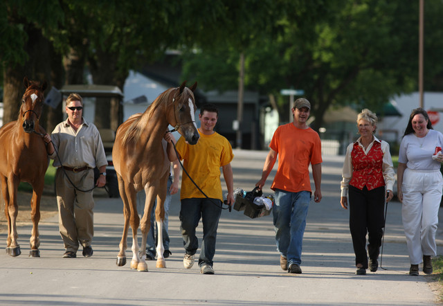2009 Egyptian Event - Tuesday