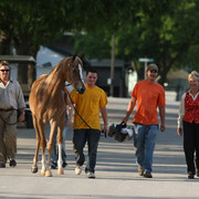2009 Egyptian Event - Tuesday