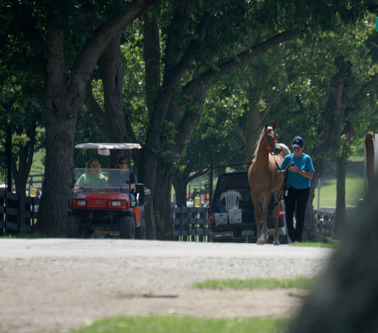 2009 Egyptian Event - Tuesday