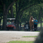 2009 Egyptian Event - Tuesday