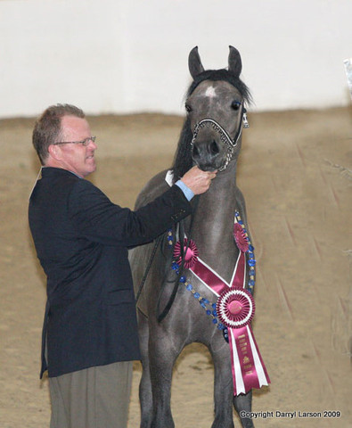 2009 Egyptian Event - Tuesday