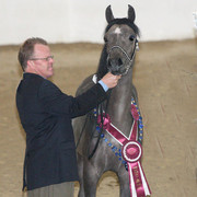 2009 Egyptian Event - Tuesday